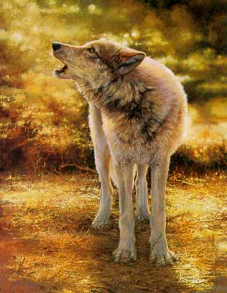 Wolf Song- Signed By The Artist								 – Paper Lithograph
								 – Limited Edition
								 – 550 S/N
								 – 
								22 1/8 x 17 3/8