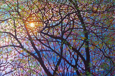 Sun In The Willows- Signed By The Artist								 – Canvas Giclee
								 – Limited Edition
								 – 50 S/N
								 – 
								40 x 60