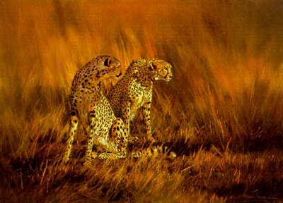 On A Fiery Plain – Cheetahs- Signed By The Artist								 – Paper Lithograph
								 – Limited Edition
								 – 750 S/N
								 – 
								19 1/8 x 26								
								 –