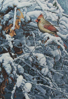 Cardinal In The Brambles- Signed By The Artist								 – Paper Lithograph
								 – Limited Edition
								 – 950 S/N
								 – 
								18 3/4 x 13 1/4