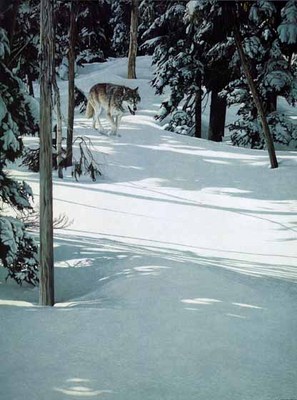 Forest Trek – Gray Wolf- Signed By The Artist								 – Paper Lithograph
								 – Limited Edition
								 – 950 S/N
								 – 
								26 1/4 x 19 3/4								
								 –