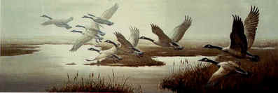 Misty Flight – Canada Geese- Signed By The Artist								 – Paper Lithograph
								 – Limited Edition
								 – 550 S/N
								 – 
								10 5/8 x 32 3/8