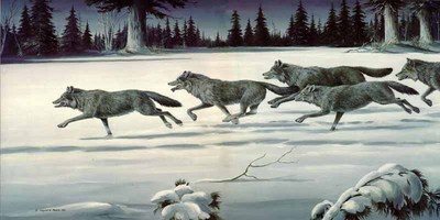 The Chase – Wolf Pack- Signed By The Artist								 – Paper Lithograph
								 – Limited Edition
								 – 550 S/N
								 – 
								15 x 30