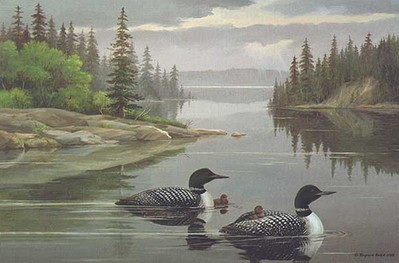 The Family – Loons- Signed By The Artist								 – Canvas Giclee
								 – Limited Edition
								 – 180 S/N
								 – 
								22 x 33								
								 –