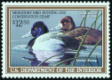 1989 RW56  LESSER SCAUP