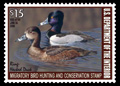 2007 RW74  RINGED NECK DUCKS