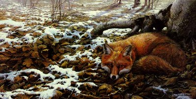 Early Snow – Red Fox- Signed By The Artist								 – Paper Lithograph
								 – Limited Edition
								 – S/N
								 – 
								0 x 0								
								 –