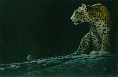 Full Moon Rising – Leopard- Signed By The Artist								 – Paper Lithograph
								 – Limited Edition
								 – 76 A/P
								 – 
								21 5/8 x 32 1/2