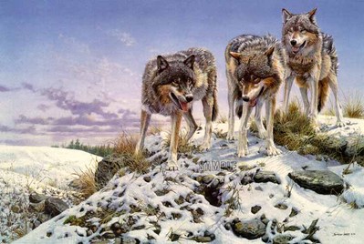 High Ground – Wolves- Signed By The Artist								 – Paper Lithograph
								 – Limited Edition
								 – 950 S/N
								 – 
								17 1/2 x 25