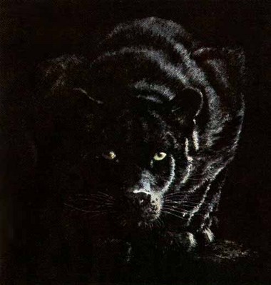 Out Of The Darkness- Signed By The Artist								 – Paper Lithograph
								 – Limited Edition
								 – 290 S/N
								 – 
								11 1/2 x 11