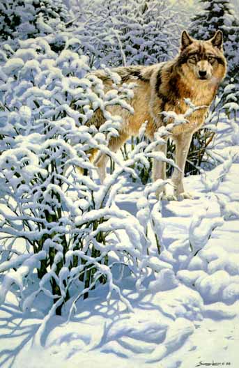 Winter Spirit – Gray Wolf- Signed By The Artist								 – Paper Lithograph
								 – Limited Edition
								 – 950 S/N
								 – 
								29 1/4 x 19 1/2