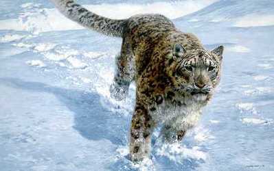 The Chase – Snow Leopard- Signed By The Artist								 – Paper Lithograph
								 – Limited Edition
								 – 950 S/N
								 – 
								20 x 32