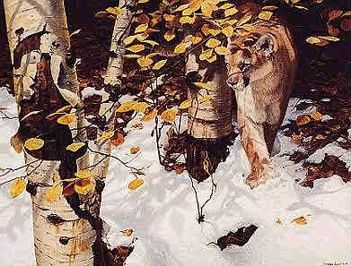 Early Snow – Cougar- Signed By The Artist								 – Paper Lithograph
								 – Limited Edition
								 – 450 S/N
								 – 
								22 3/8 x 30								
								 –