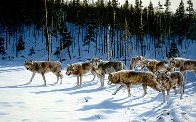 The Gathering – Gray Wolves- Signed By The Artist								 – Paper Lithograph
								 – Limited Edition
								 – 950 S/N
								 – 
								24 3/8 x 36 3/8