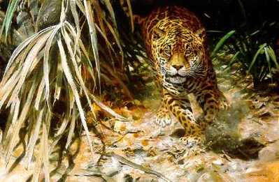 Into The Clearing – Jaguar- Signed By The Artist								 – Paper Lithograph
								 – Limited Edition
								 – 950 S/N
								 – 
								21 3/8 x 32 1/8