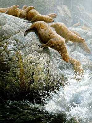 The Plunge – Northern Sea Lions- Signed By The Artist								 – Paper Lithograph
								 – Limited Edition
								 – 1250 S/N
								 – 
								26 x 19