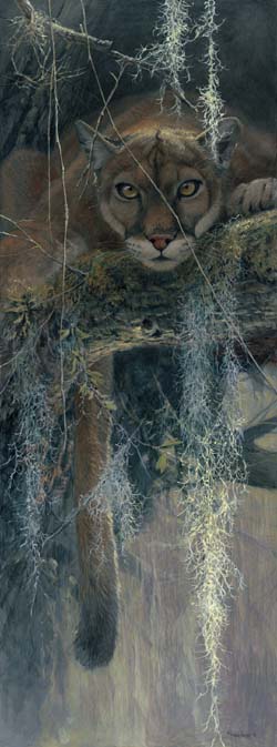 Treed- Signed By The Artist								 – Canvas Giclee
								 – Limited Edition
								 – 18 A/P
								 – 
								48 x 18