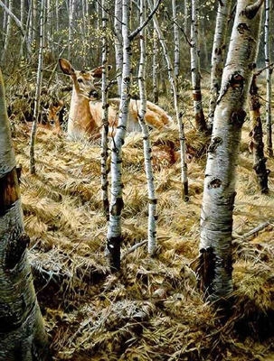 Whitetail Spring- Signed By The Artist								 – Paper Lithograph
								 – Limited Edition
								 – 20 P/P
								 – 
								25 1/2 x 20