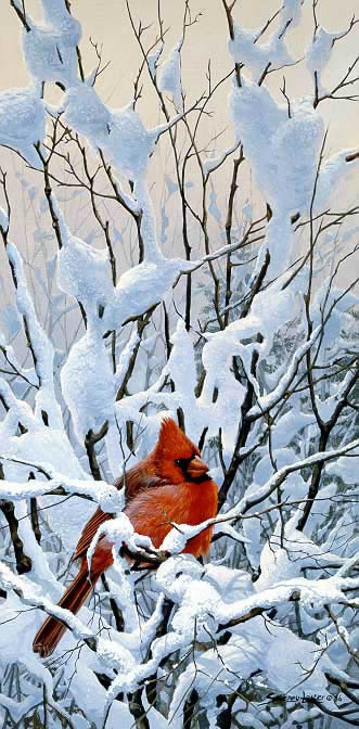 Winter Perch – Cardinal- Signed By The Artist								 – Paper Lithograph
								 – Limited Edition
								 – 950 S/N
								 – 
								18 1/8 x 10 5/8