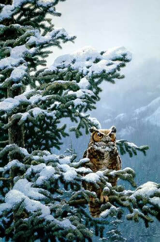 Winter Vigil – Great-Horned Owl- Signed By The Artist								 – Paper Lithograph
								 – Limited Edition
								 – 950 S/N
								 – 
								34 3/8 x 24