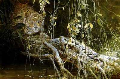 Young Predator – Leopard Cub- Signed By The Artist								 – Paper Lithograph
								 – Limited Edition
								 – 76 A/P
								 – 
								19 x 28