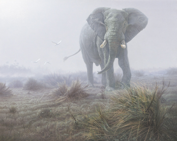 Denizen In The Mist- Signed By The Artist								 – Paper Lithograph
								 – Limited Edition
								 – 650 S/N
								 – 
								23 x 28 3/4