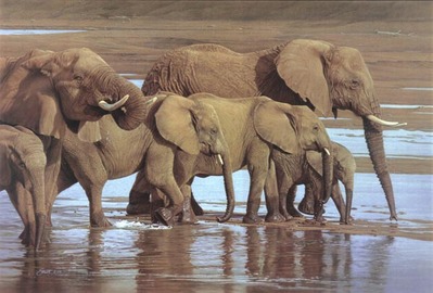 Riverbank Procession- Signed By The Artist								 – Canvas Giclee
								 – Limited Edition
								 – 18 A/P
								 – 
								27 x 40