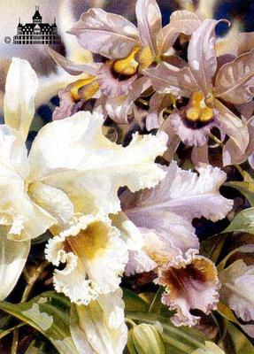 Orchids II- Signed By The Artist								 – Paper Lithograph
								 – Limited Edition
								 – 1000 S/N
								 – 
								24 x 18								
								 –