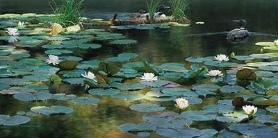 Leaving The Lilies- Signed By The Artist								 – Paper Lithograph
								 – Limited Edition
								 – 600 S/N
								 – 
								15 x 30