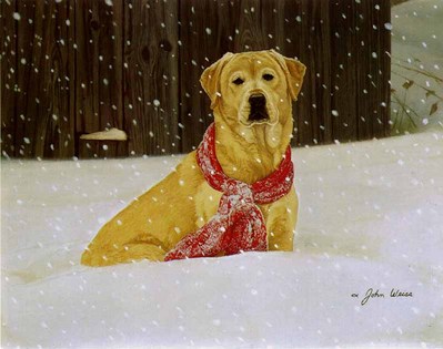 Cold Nose, Warm Heart- Signed By The Artist								 – Paper Lithograph
								 – Limited Edition
								 – 950 S/N
								 – 
								12 1/2 x 16