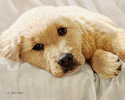 Best Loved Breeds: Golden Retriever Pup- Signed By The Artist								 – Canvas Giclee
								 – Limited Edition
								 – 150 S/N
								 – 
								14 x 11								
								 –