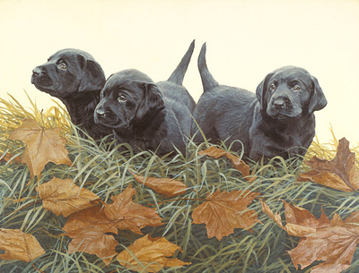 Lab Puppies- Signed By The Artist								 – Canvas Giclee
								 – Limited Edition
								 – 250 S/N
								 – 
								13 x 17