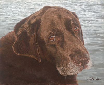 Old Friend By The Sea- Signed By The Artist								 – Canvas Giclee
								 – Limited Edition
								 – 75 S/N
								 – 
								9 x 11