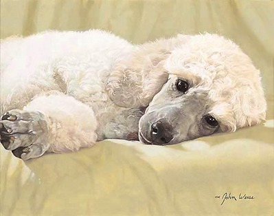 Best Loved Breeds: White Standard Poodle- Signed By The Artist								 – Paper Lithograph
								 – Limited Edition
								 – 1250 S/N
								 – 
								10 5/8 x 13 1/2