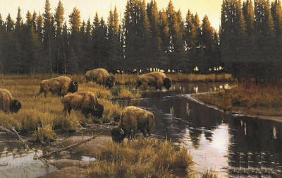 Yellowstone Crossing- Signed By The Artist								 – Canvas Giclee
								 – Limited Edition
								 – 195 S/N
								 – 
								20 x 32