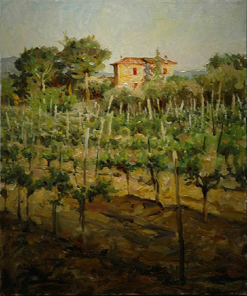 Tuscan Vineyard